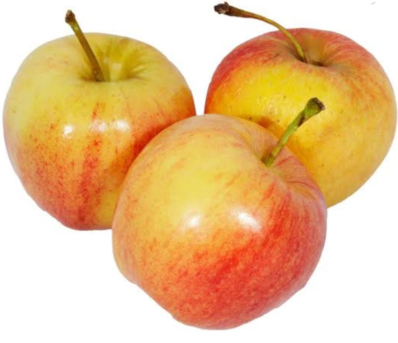 MANZANA GALA en Querétaro - Distribuidora Hermanos Rojas