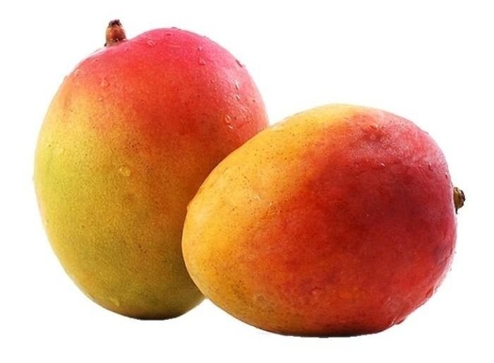 MANGO PETACON en Querétaro - Distribuidora Hermanos Rojas