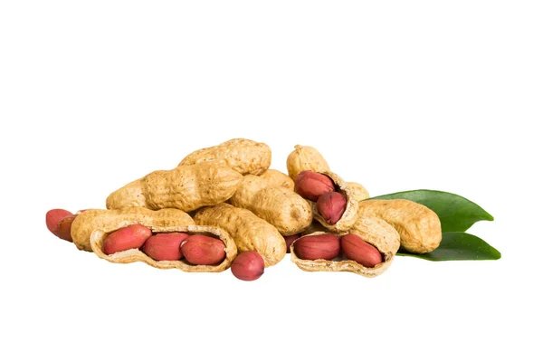 CACAHUATE VAINA en Querétaro - Distribuidora Hermanos Rojas