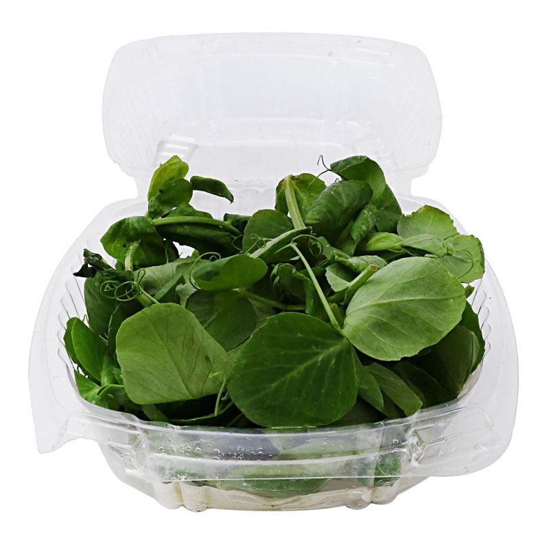 BROTE DE CHICHARO en Querétaro - Distribuidora Hermanos Rojas