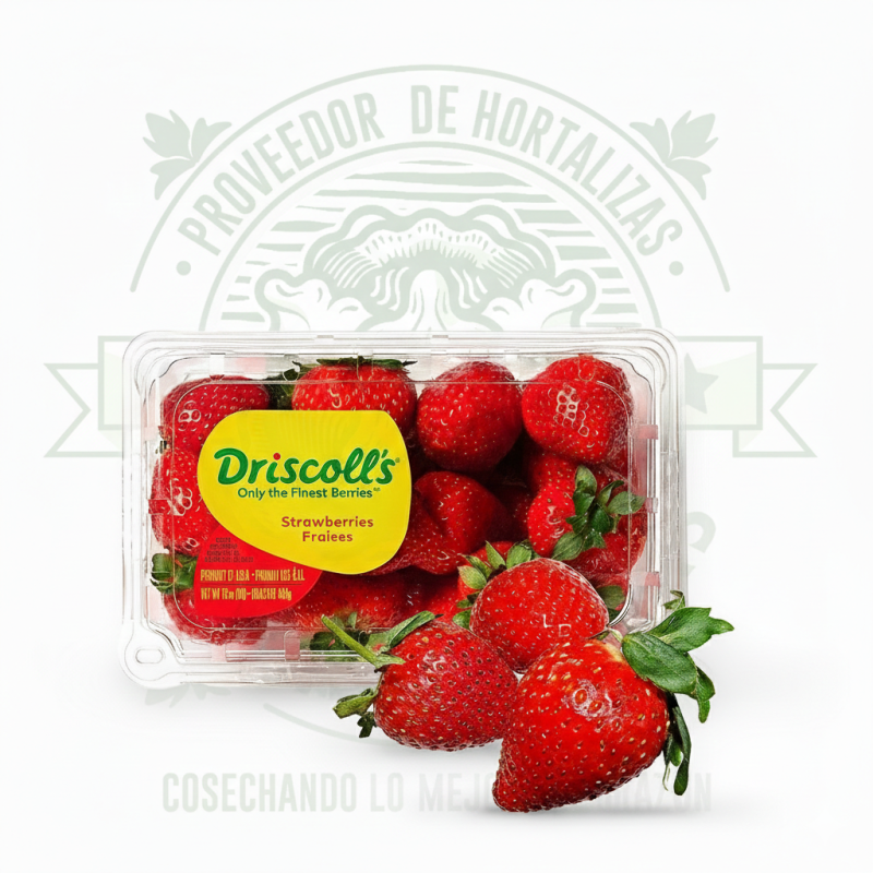 DOMO FRESAS .480g en Querétaro - Distribuidora Hermanos Rojas