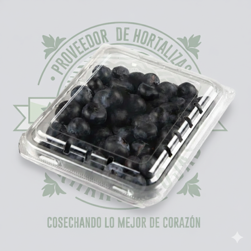 DOMO BLUEBERRIES .170g en Querétaro - Distribuidora Hermanos Rojas