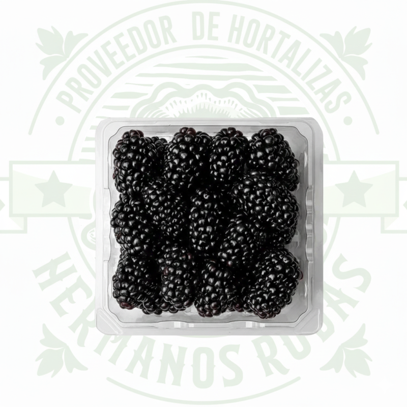 DOMO ZARZAMORAS .170g en Querétaro - Distribuidora Hermanos Rojas