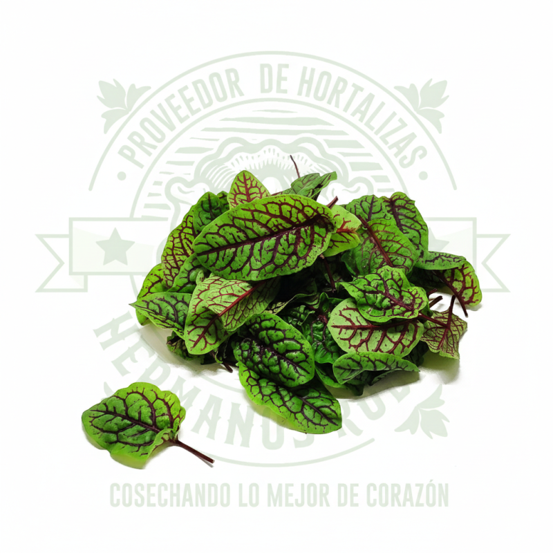 HOJA DE SORREL