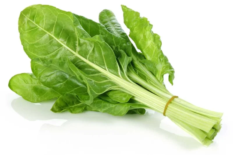 ACELGA KG en Querétaro - Distribuidora Hermanos Rojas