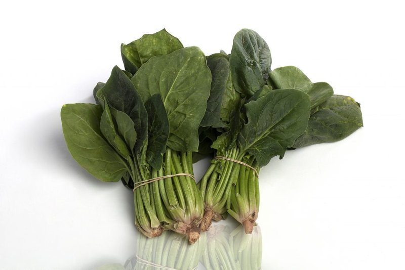Espinacas frescas savoy de hoja rizada verde oscuro por kilogramo