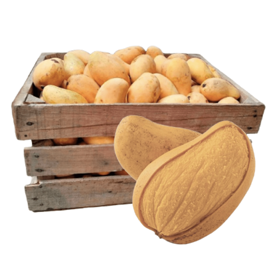 Mango Ataúlfo premium extra grande por caja (25kg aprox.) en Querétaro - Distribuidora Hermanos Rojas