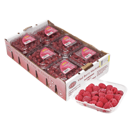 FRAMBUESA CAJA CON 12 DOMOS DE 170g c/u en Querétaro - Distribuidora Hermanos Rojas