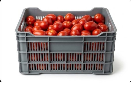 CAJA JITOMATE SELECCIONADO (30kg aprox.) en Querétaro - Distribuidora Hermanos Rojas