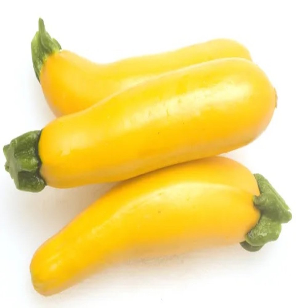 CALABAZA ZUCCHINI AMARILLA en Querétaro - Distribuidora Hermanos Rojas