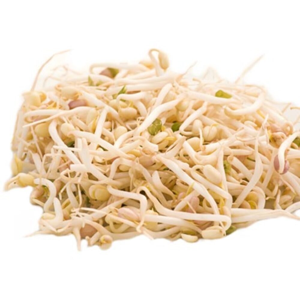 GERMEN DE SOYA
