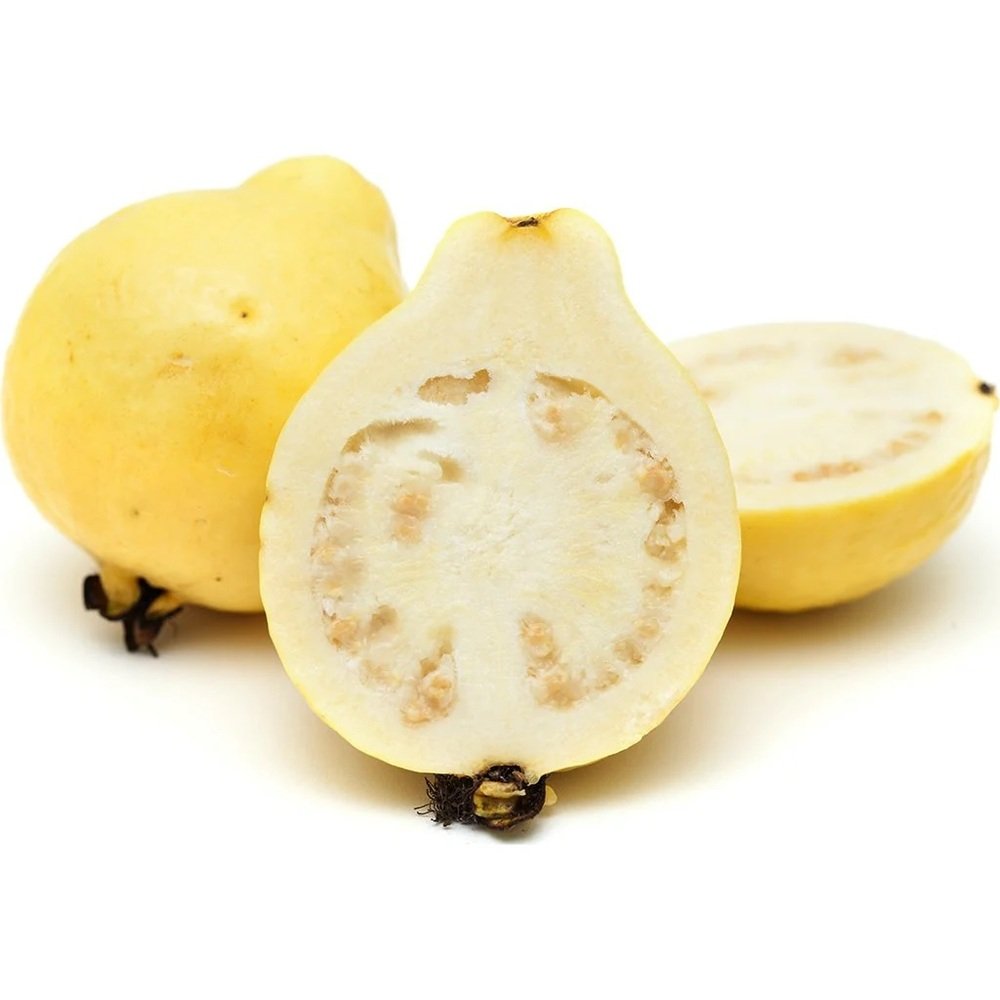 GUAYABA en Querétaro - Distribuidora Hermanos Rojas