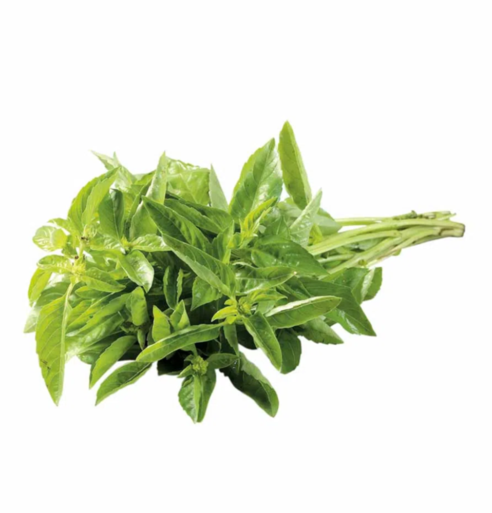 ALBAHACA en Querétaro - Distribuidora Hermanos Rojas