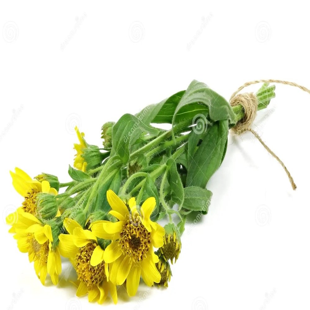 ARNICA en Querétaro - Distribuidora Hermanos Rojas