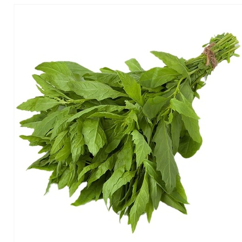 EPAZOTE en Querétaro - Distribuidora Hermanos Rojas