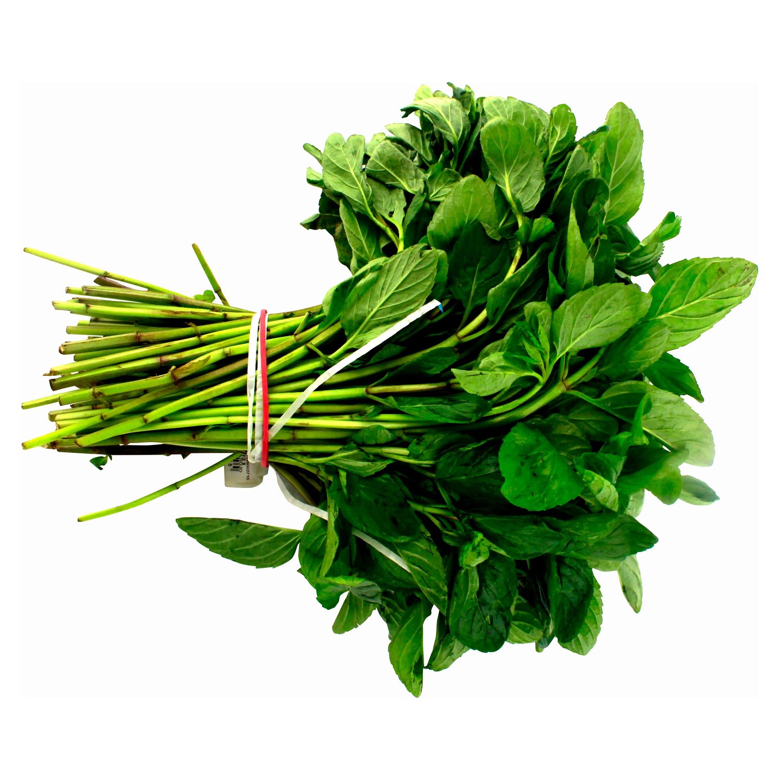 HIERBA BUENA en Querétaro - Distribuidora Hermanos Rojas