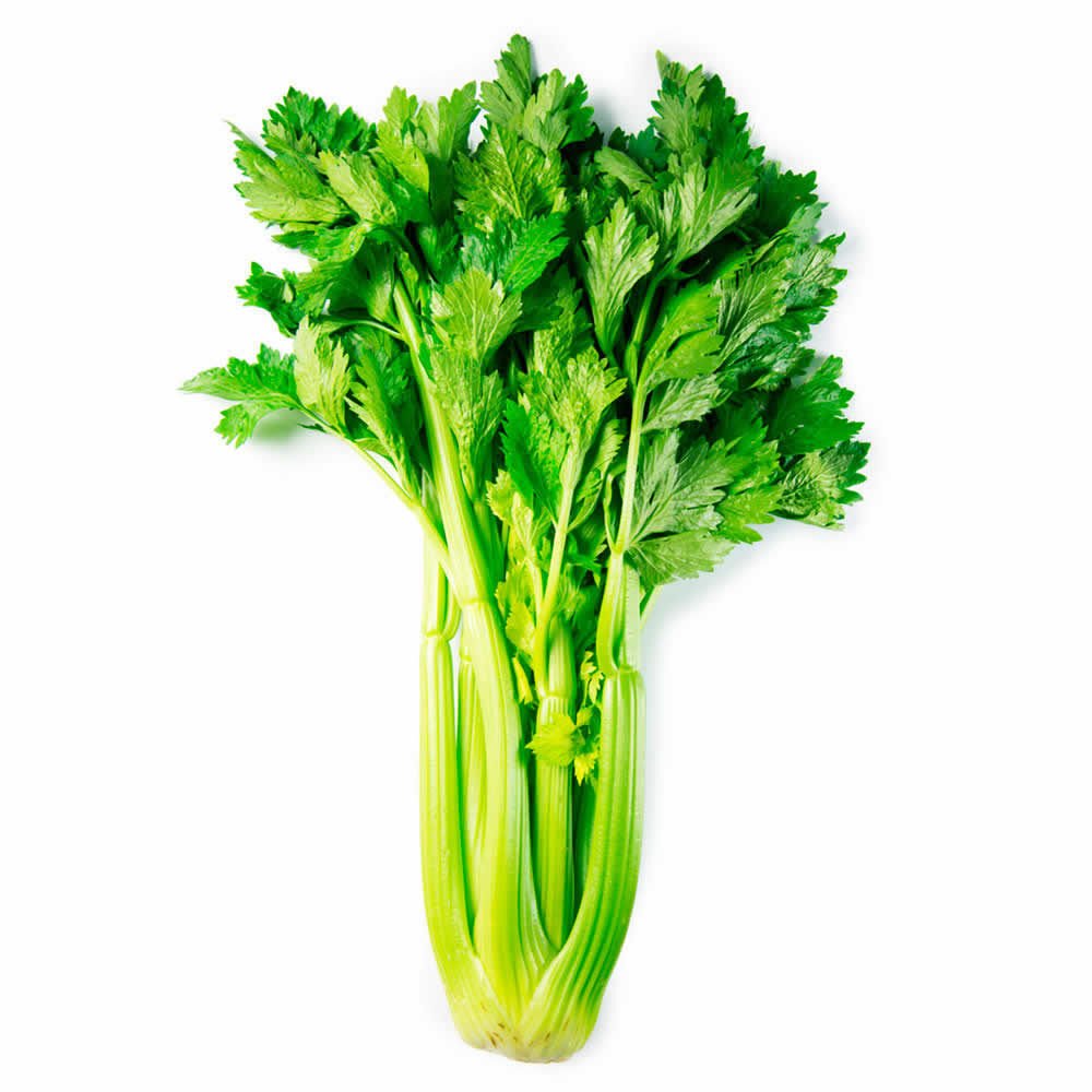 APIO en Querétaro - Distribuidora Hermanos Rojas