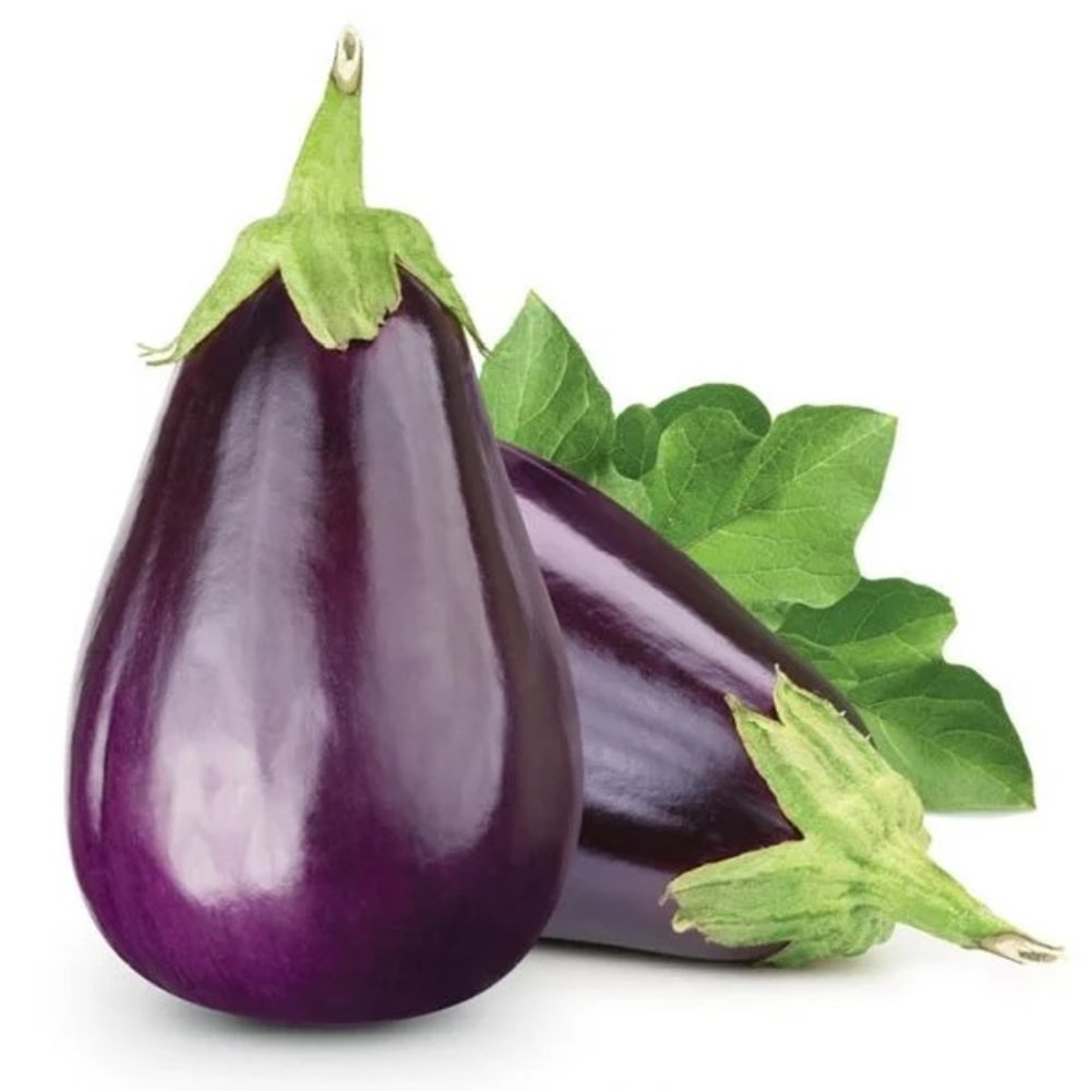 BERENJENA en Querétaro - Distribuidora Hermanos Rojas