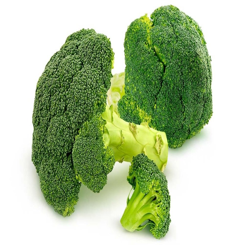 BROCOLI en Querétaro - Distribuidora Hermanos Rojas