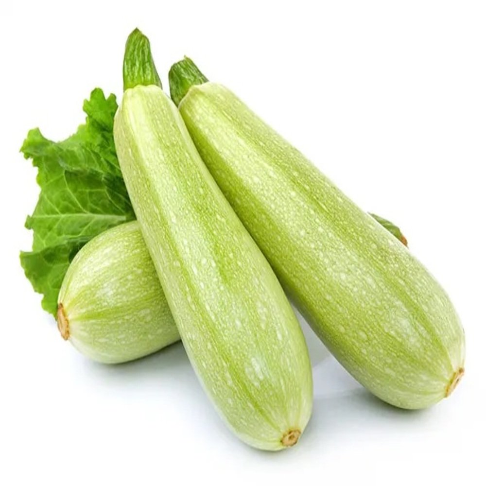 CALABAZA ITALIANA en Querétaro - Distribuidora Hermanos Rojas