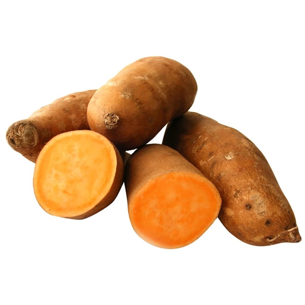 CAMOTE NARANJA en Querétaro - Distribuidora Hermanos Rojas