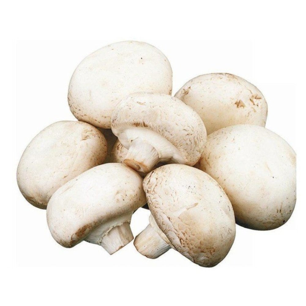 CHAMPIÑON en Querétaro - Distribuidora Hermanos Rojas