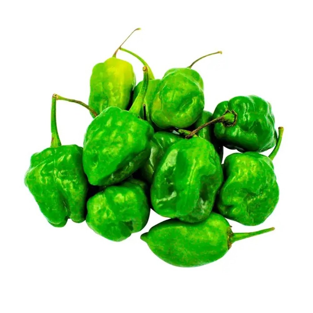 Chile habanero verde fresco, picoso y de alta calidad de Distribuidora Hermanos Rojas