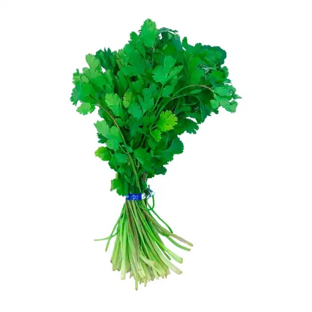 Cilantro fresco y aromático por kilogramo de Distribuidora Hermanos Rojas en Querétaro