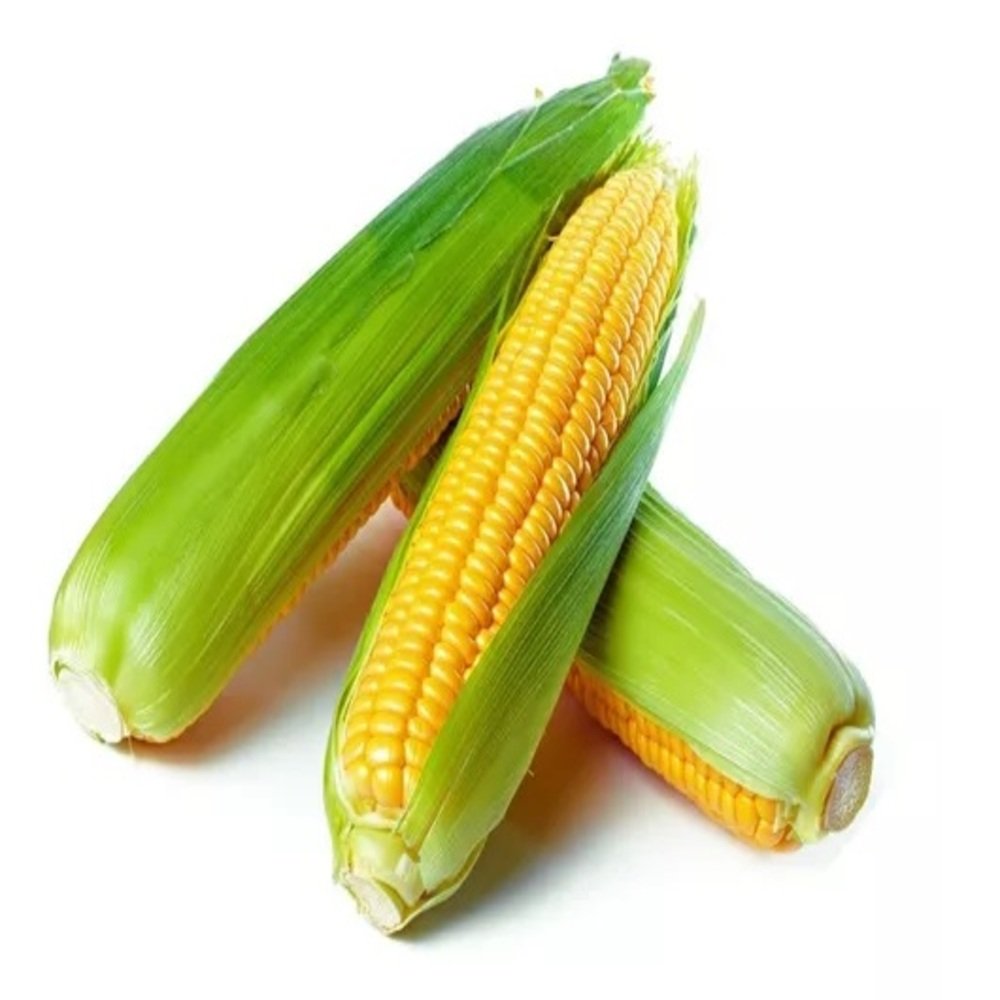 Elote amarillo fresco y tierno de Distribuidora Hermanos Rojas, Querétaro