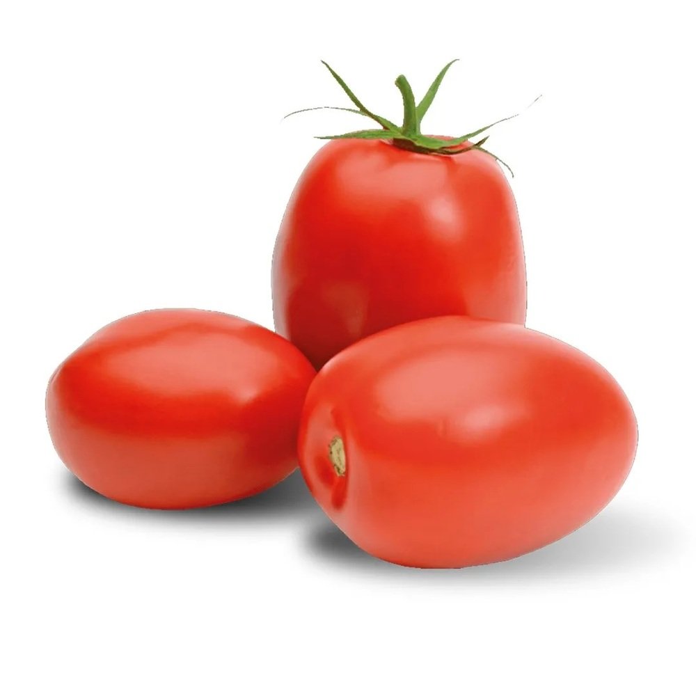 JITOMATE SALADETTE en Querétaro - Distribuidora Hermanos Rojas