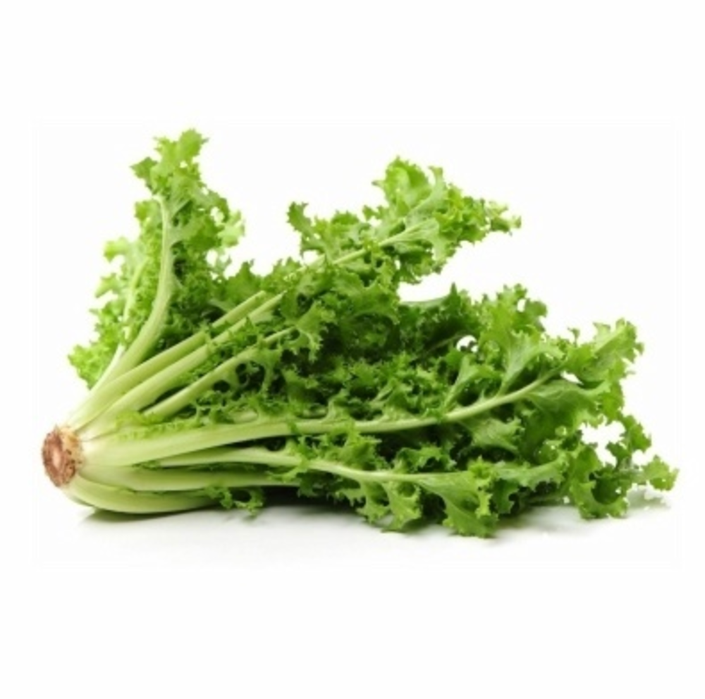 LECHUGA ESCAROLA