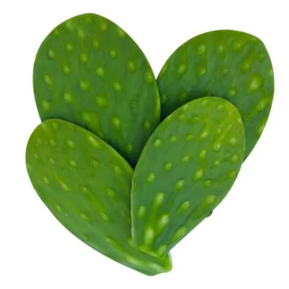 NOPAL LIMPIO