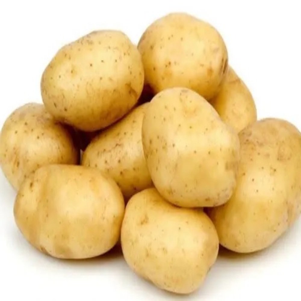 PAPA BLANCA